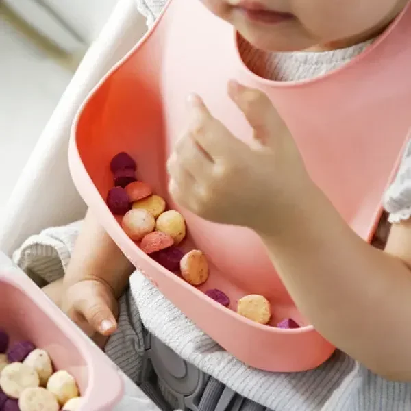 Silikon Food Grade, Set piring - Baby Food Dinner ulasan dan harga